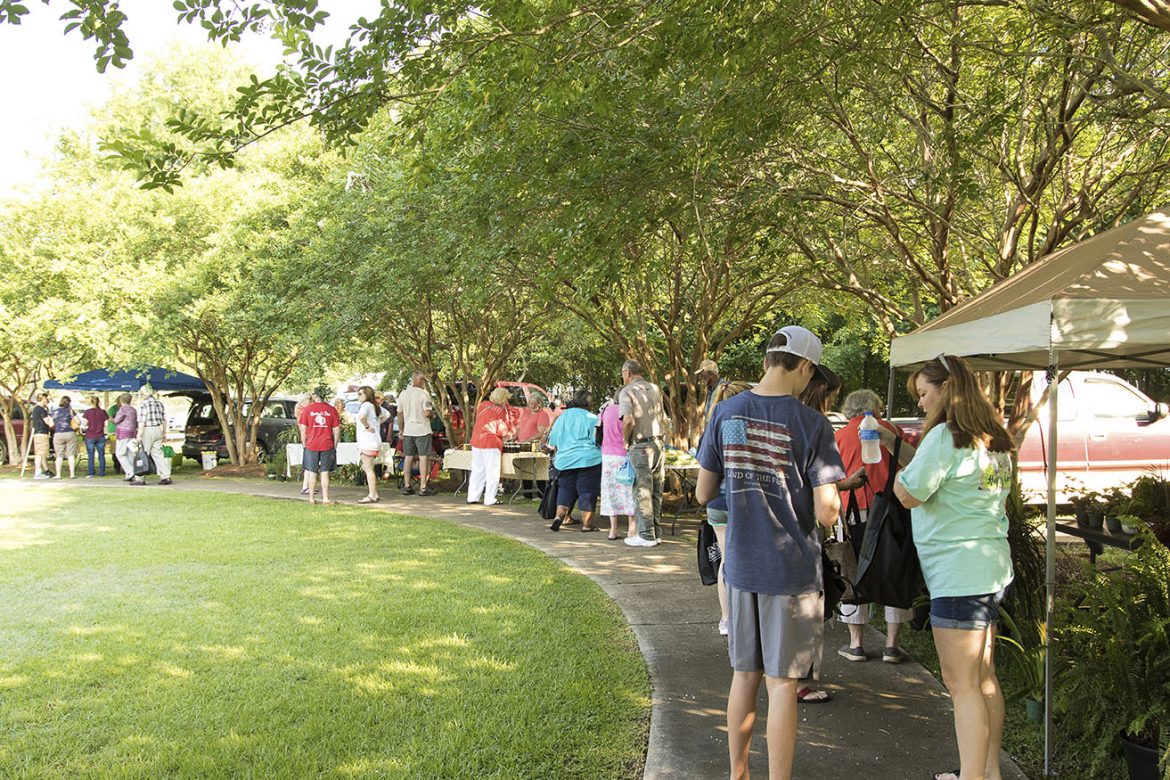 Light turnout for 2018’s first Market in the Park Atmore News