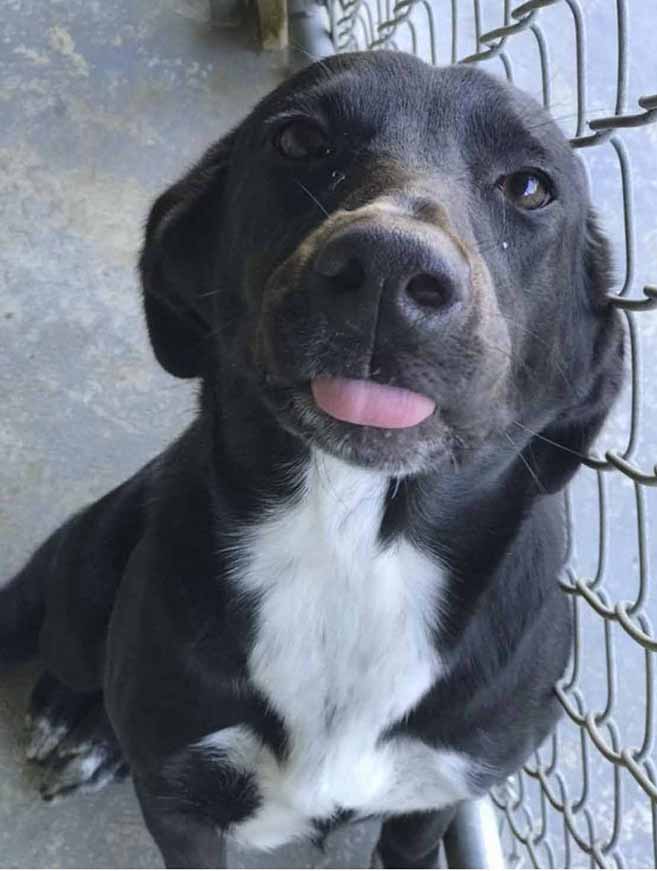 Meet Belle Atmore News